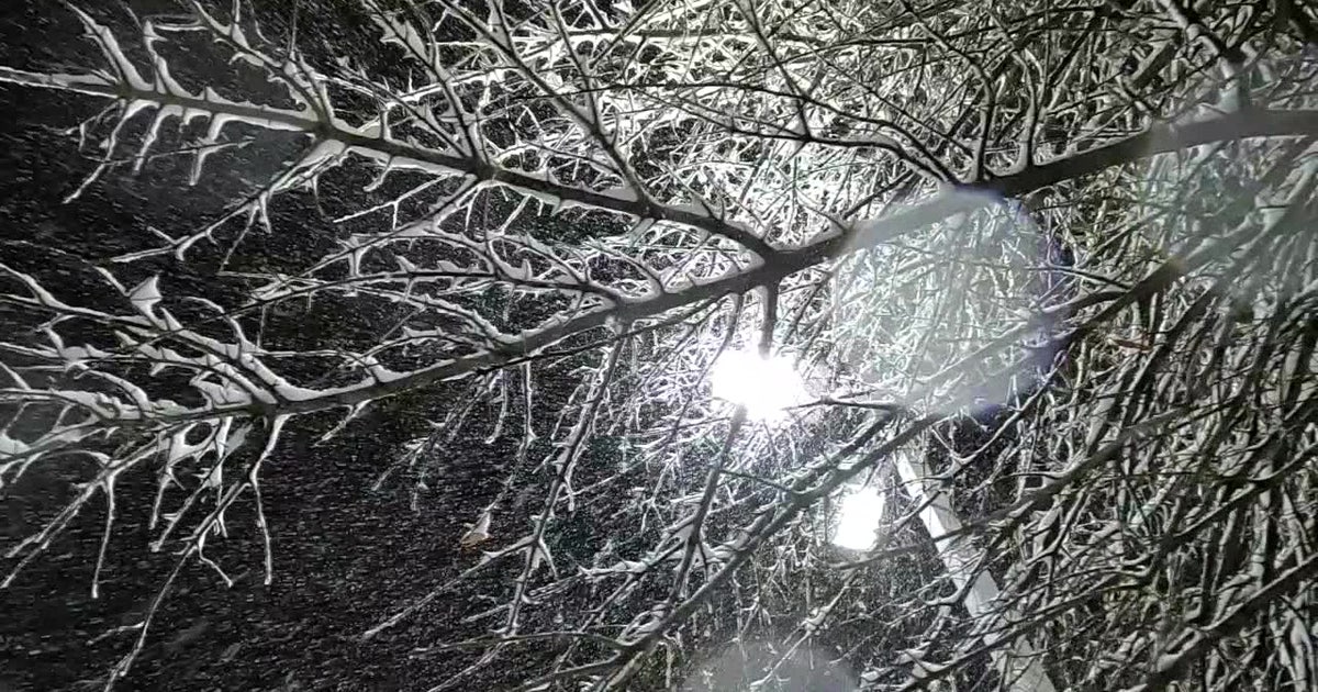 Philadelphia closures: schools, courts shut Monday for winter snowstorm