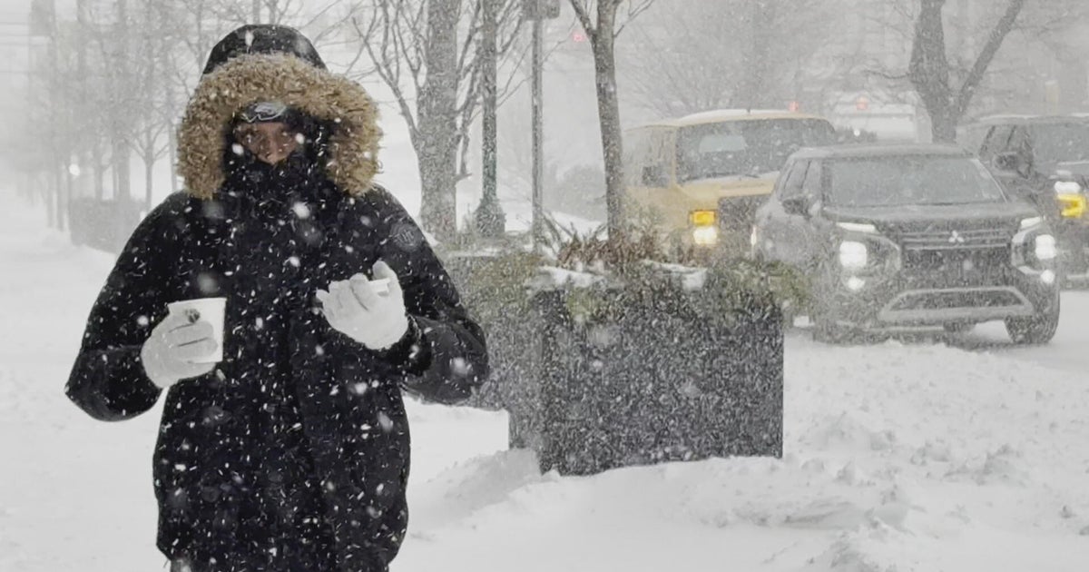Photos show Philadelphia region blanketed in snow, people and animals enjoying cold conditions