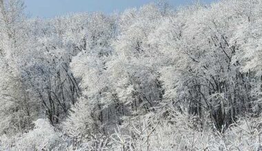 Major snowstorm hits Pa. | Share your photos, videos