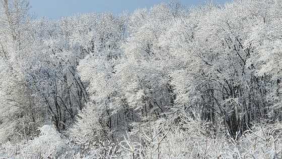 Major snowstorm hits Pa. | Share your photos, videos