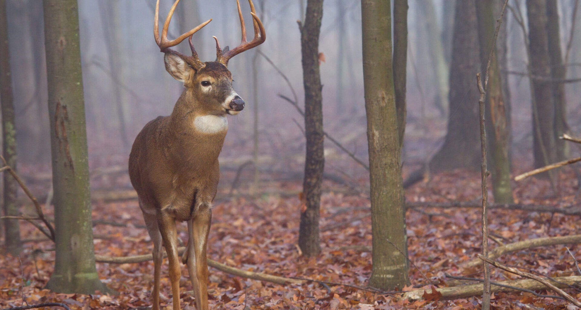 Pennsylvania Game Commission Meeting: 2026-27 Hunting Rule Changes