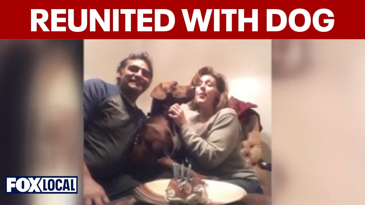 Microchip helps Wisconsin man find lost dog in Philadelphia after 4 years