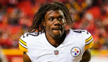 Pittsburgh Steelers cornerback James Pierre (42)