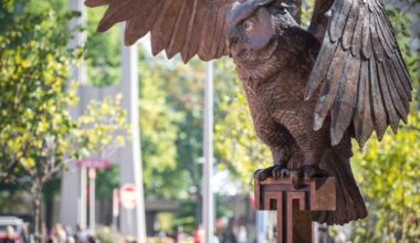 Enrollment of Black students has surged at Temple and La Salle since affirmative action ended