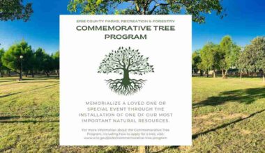 Erie County Parks, Recreation & Forestry's Commemorative Tree Program