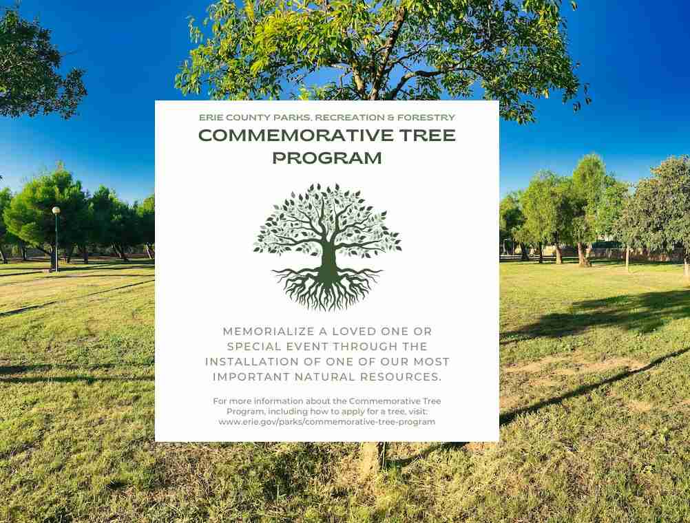 Erie County Parks, Recreation & Forestry's Commemorative Tree Program