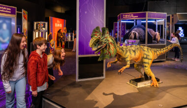 The Franklin Institute's New “Universal Parks” Exhibit Isn’t About the Characters — It’s About the Careers