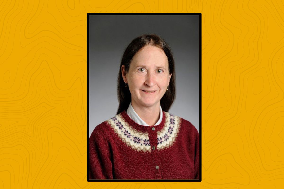 Department of Physics welcomes Seehra Lecturer Feb. 25 | E-News