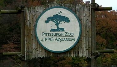 Pittsburgh Zoo breaks ground with new Giraffe Care Center