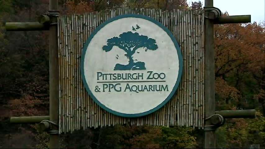 Pittsburgh Zoo breaks ground with new Giraffe Care Center