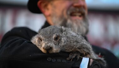 Punxsutawney Phil sees his shadow