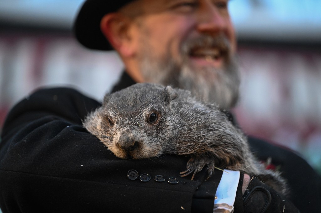 Punxsutawney Phil sees his shadow