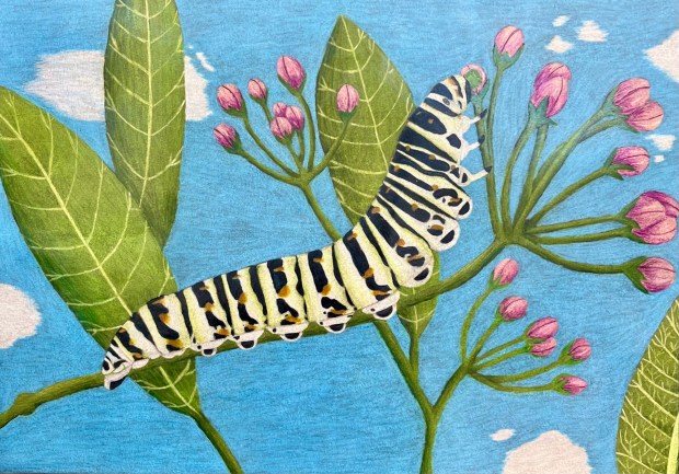 Third-place artwork by Elle Jenkins of Exeter. (Courtesy of Yocum Institute for Arts Education)