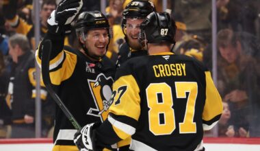 The State of the Penguins: 5 Big Differences