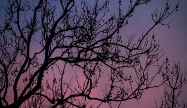 Friday night snow before temperatures rise