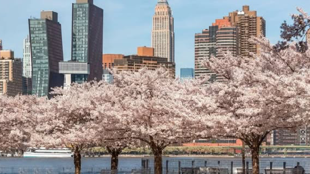 Spring Travel Made Easy: Recreation & Parks Announces Bus Trips to Philadelphia & New York City