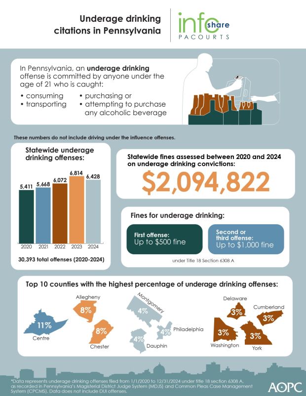 Over the past five years, underage drinking offenses in Pennsylvania totaled 30,393. (Courtesy of Administrative Office of Pennsylvania Courts)