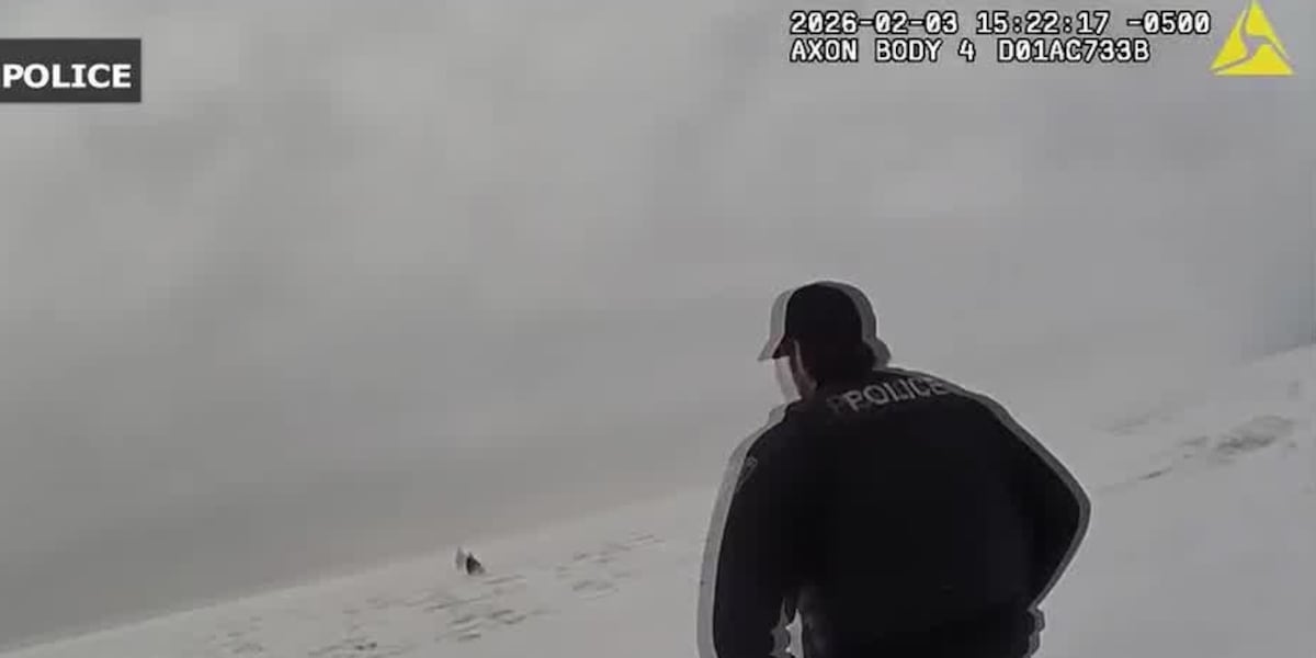 Girl in crisis rescued off icy Lake Erie by Cleveland police: caught on camera