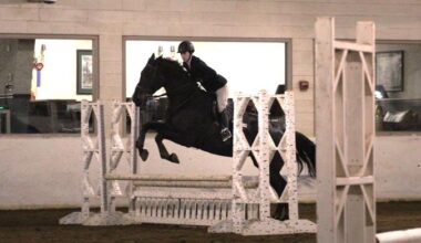 Hunt Seat Places Third at Lake Erie Show