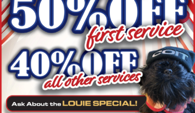 SATURDAY, FEBRUARY 21, 2026 Ad - COIT Cleaning & Restoration - Pittsburgh