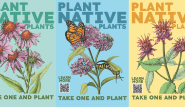 Plant native blooms in time for spring with Philly’s favorite squid scientist