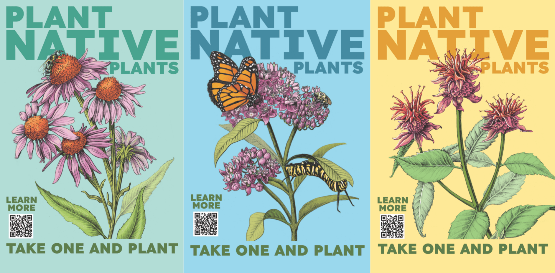 Plant native blooms in time for spring with Philly’s favorite squid scientist