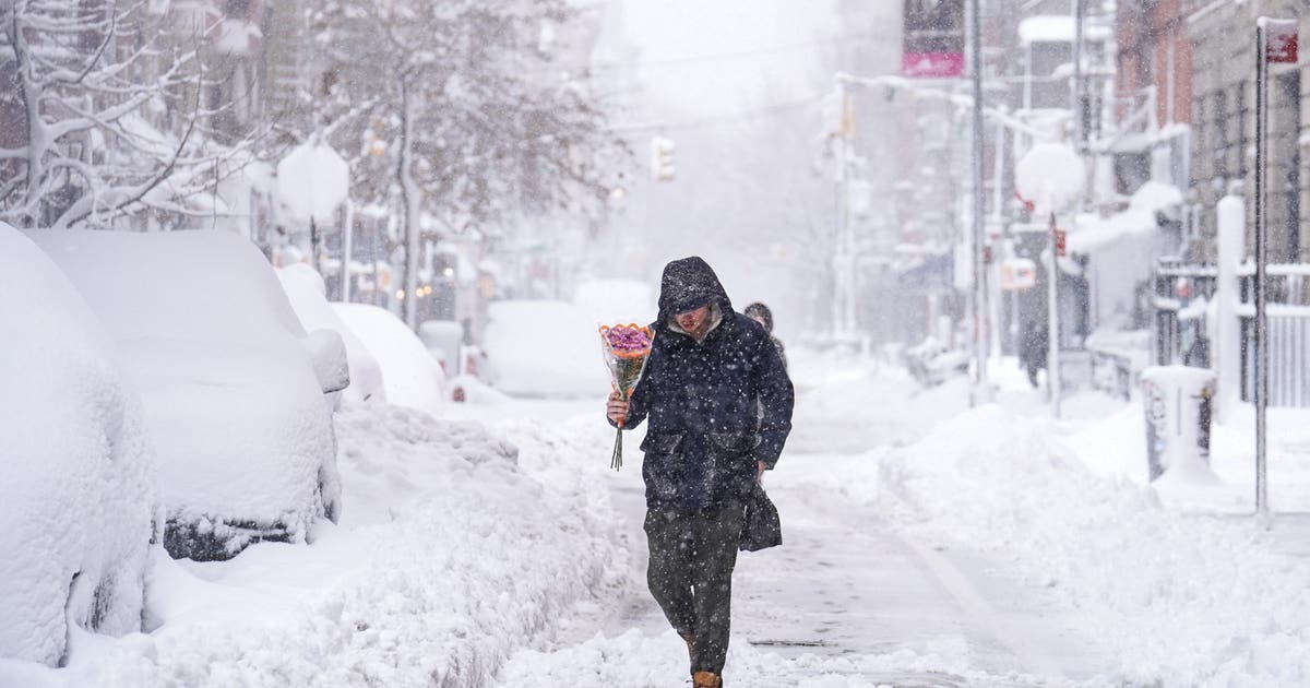 February 2026 blizzard snow totals by state: NY, NJ, PA, DC, VA, MD, DE, CT