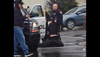 2 Pennsylvania students remain imprisoned 4 days after anti-ICE protest as “Quakertown 5” face felony charges