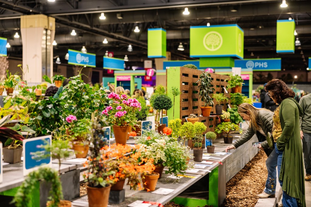 Container gardening, the Philadelphia Flower Show, and more