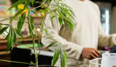 New legislation can ensure a safe cannabis framework for Pennsylvania