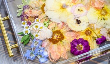 Waste not those expensive flowers with this art, preservation shop in the Lehigh Valley