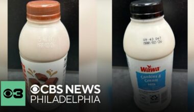 Wawa recalls multiple milk products over possible plastic contamination | Digital Brief