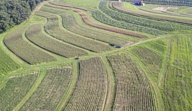 Panini A. Chowdhury: How to change the future of Allegheny County