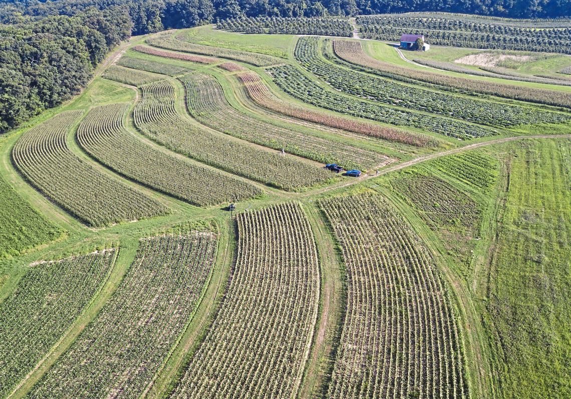 Panini A. Chowdhury: How to change the future of Allegheny County