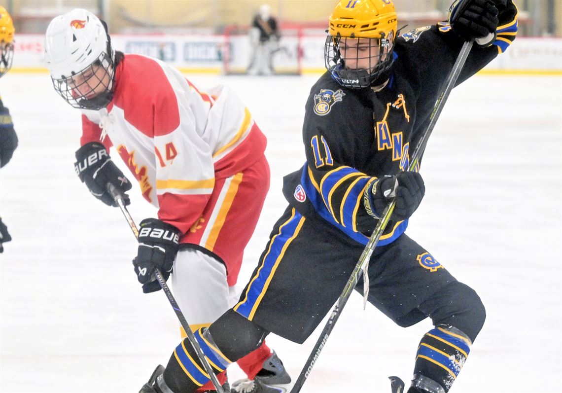 PIHL playoffs: Preliminary round games in Class 1A slated to begin Monday