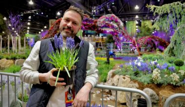 Philly Flower Show to get it roots down this weekend