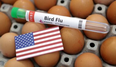 Bird flu devastates 7.4 million Pennsylvania chickens in a month