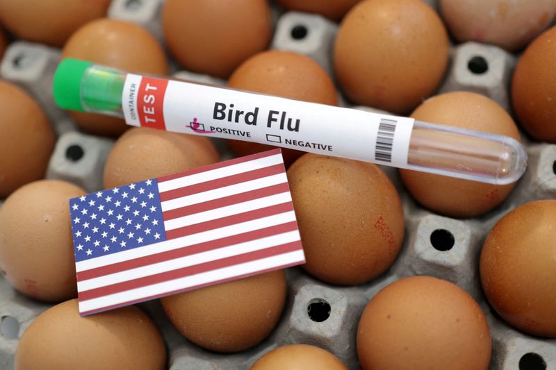 Bird flu devastates 7.4 million Pennsylvania chickens in a month
