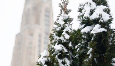 5 Pitt people made the Pittsburgh Business Times 30 Under 30 list