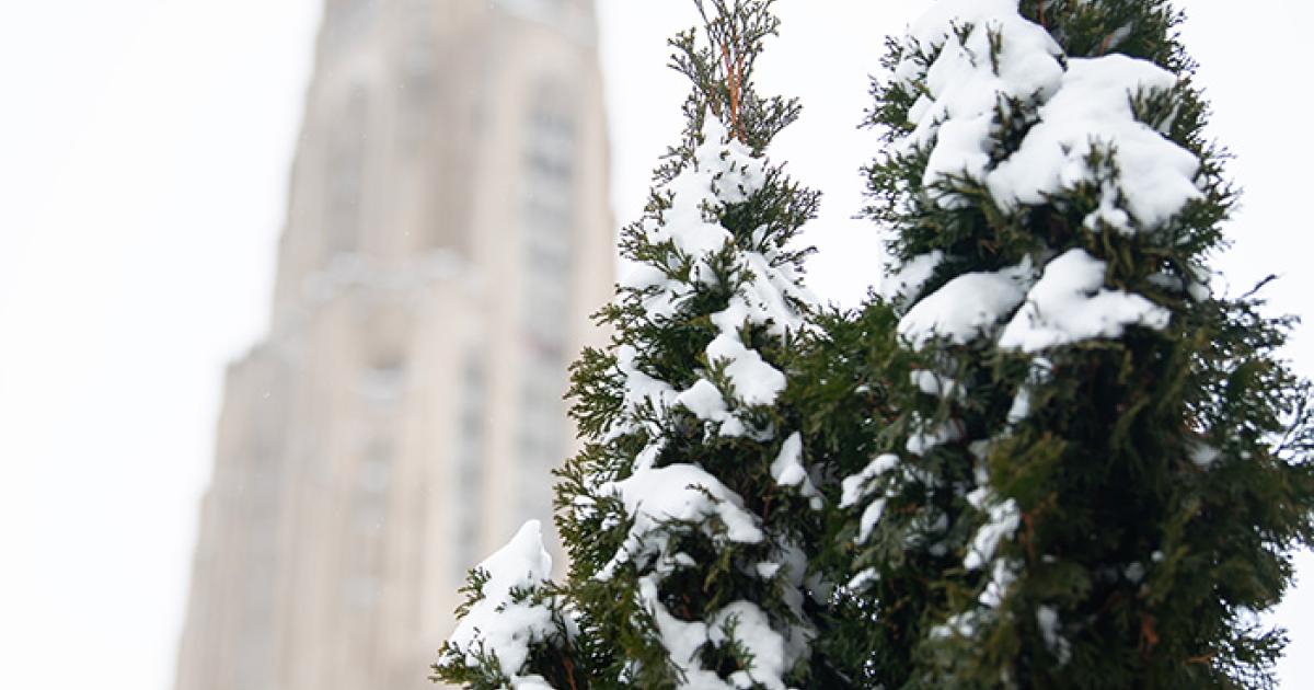 5 Pitt people made the Pittsburgh Business Times 30 Under 30 list