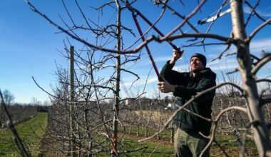 Pittsburgh weather: What's the forecast for spring?