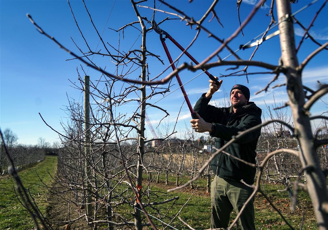 Pittsburgh weather: What's the forecast for spring?