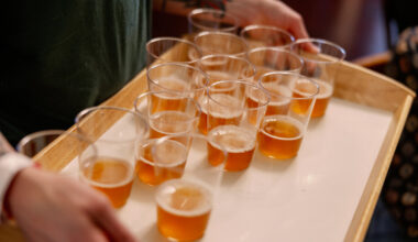 Philly Bierfest invites guests to explore almost 100 different pours from Pennsylvania and Germany.