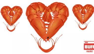 The Buff Podcast - Bolton Wanderers v Lincoln City, Reading