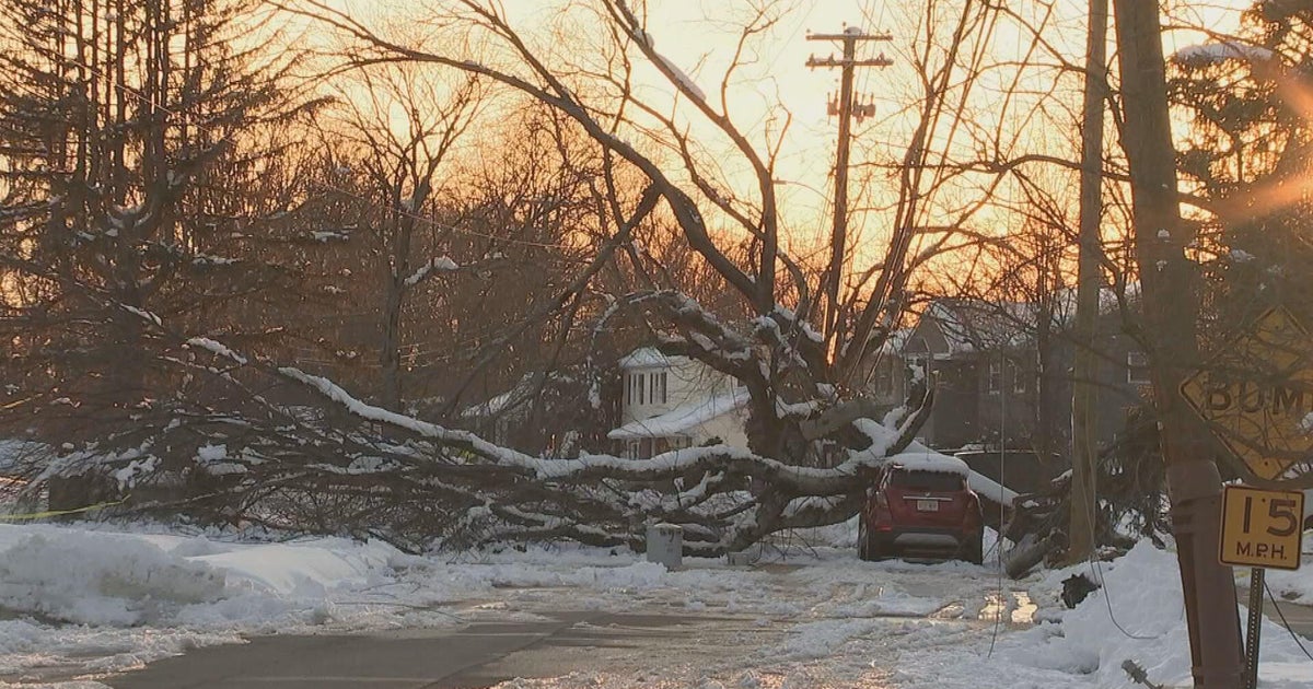 Some people in South Jersey still without power after blizzard: "We are all just struggling"