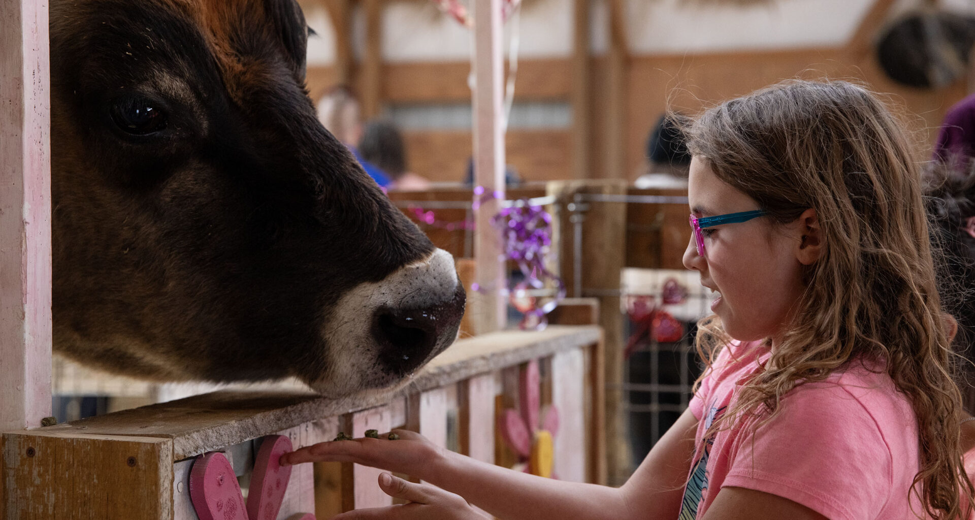 Colorado animal sanctuary opens up kissing booth as a chance to interact with animals and reduce stress