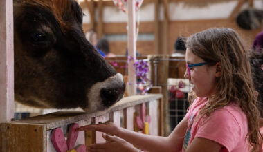 Colorado animal sanctuary opens up kissing booth as a chance to interact with animals and reduce stress