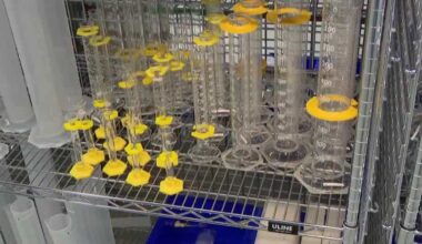 Pittsburgh explores biotechnology and AI advancements