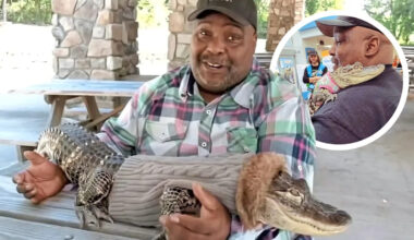 Yahoo lifestyle home