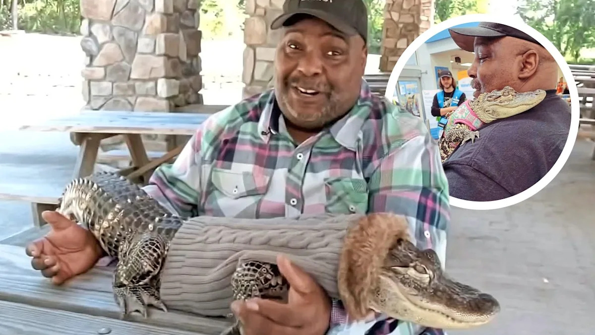 Yahoo lifestyle home